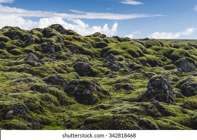 Landscape in Iceland,mountains and moss all over the place