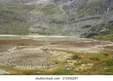 The Landscape Illustrating Ecological Succession On The Former Glacier Lake