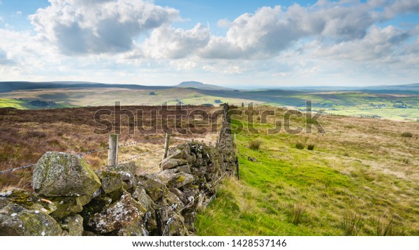A landscape image of a dry\
stone wall traversing Irish moorland with Mount Slemish in the\
distance.