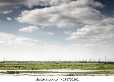 Landscape Image Of Essex Countryside