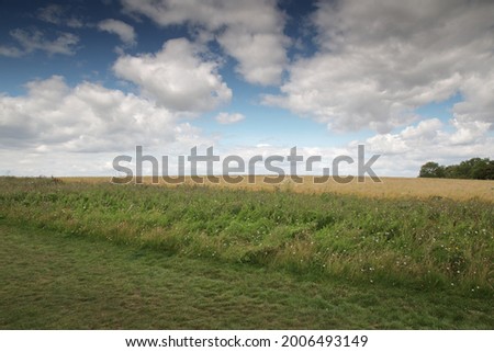 Similar – Holzbohlensteg ans Meer