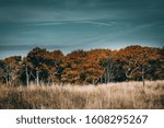 Landscape image of Max Patch