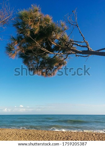 Similar – Image, Stock Photo Baltic Sea coast in Poland