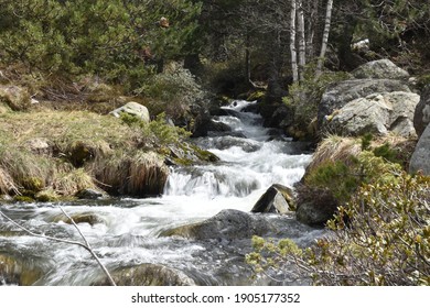 わきあいあい の画像 写真素材 ベクター画像 Shutterstock