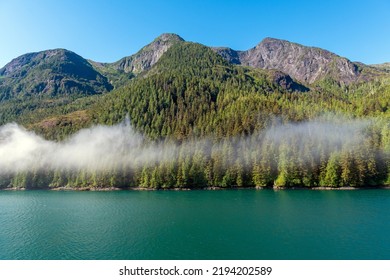 Landscape of island with pine and cedar trees forest along Inside Passage cruise between Prince Rupert and Port Hardy, Vancouver Island, British Columbia, Canada. - Shutterstock ID 2194202589