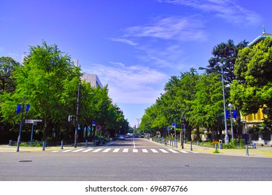 Landscape of Japan's main street in Yokohama in the summer