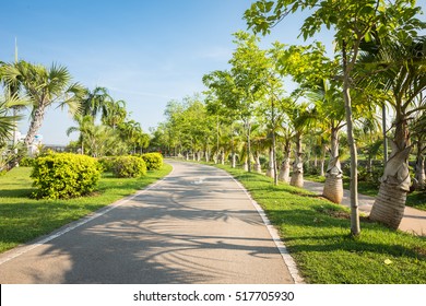 Landscape With Jogging Track At Green Park , Jogging Track In The Park And No People