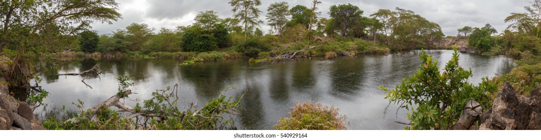 38 Mzima springs Images, Stock Photos & Vectors | Shutterstock