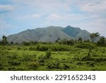 The Landscape of Kerbau Mountain in Moa Island, Maluku Barat Daya Regency, Indonesia