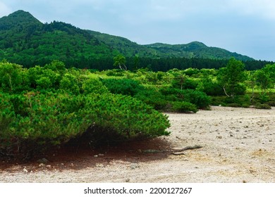 Landscape Of Kunashir Island, Tephra Beach Of A Hot Lake At The Bottom Of Golovnin Volcano Caldera