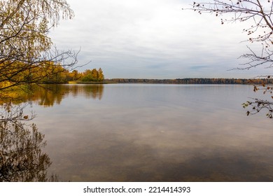 Landscape With The Lake, Horizon Line, Trees And Branches In Autumn