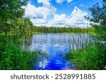 The landscape of lake park in Tampa, Florida