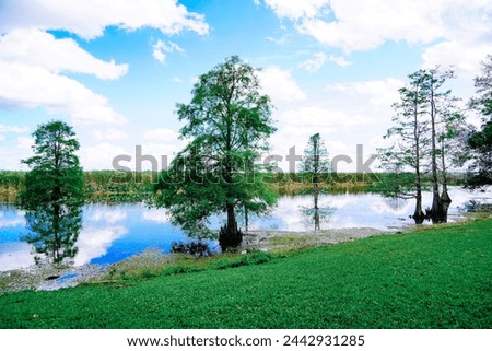 The landscape of Lake parker in Lakeland, Florida, USA