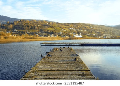 Landscape with Lake Plav: a wooden pier with ducks standing on them against the backdrop of houses built on a hillside. The town of Plav, located near the Prokletije National Park in Montenegro. - Powered by Shutterstock