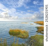 Landscape, lake and sky with clouds, plants and shoreline with grass bank, location and horizon in summer. Water, ground and outdoor in environment, sustainability and sunshine in wild in Denmark