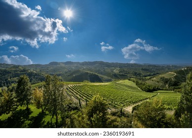 Landscape in the Langhe hills, with a view of vineyards in the typical Barolo wine area in Serralunga Alba, Piedmont, Italy. Sun on blue sky and clouds   - Powered by Shutterstock