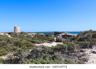 Landscape In Las Salinas Beach - Ibiza