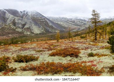 Tundra Landscape Images Stock Photos Vectors Shutterstock