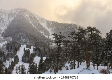 Landscape Of Lee Canyon, Mount Charleston, Nevada, US. Winter. Sunset.