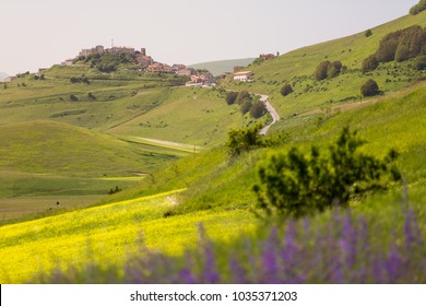 Landscape Of Lentils Field With Castelluccio Di Norcia In The Background