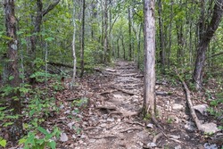 Landscape Of Limestone Covered Trail In The Duck River Complex State Natural Area In Maury County, Tennessee, USA