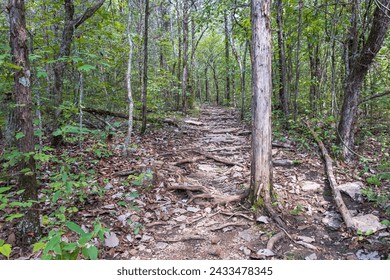 Landscape of limestone covered trail in the Duck River Complex State Natural Area in Maury County, Tennessee, USA