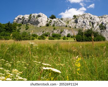 Landscape with limestone massif in Palava Protected Landscape Area, South Moravia, Czech republic in summer