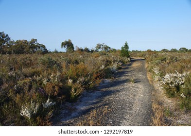 Landscape In The Little Desert National Park In Australie