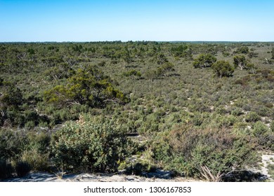 Landscape In Little Desert National Park In Victoria, Australia.