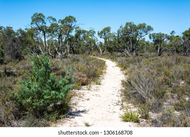 Landscape In Little Desert National Park In Victoria, Australia.