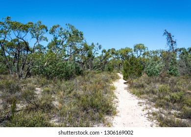 Landscape In Little Desert National Park In Victoria, Australia.