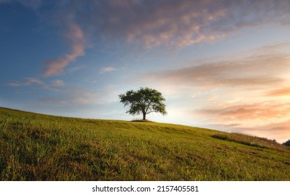 A Landscape With A Lonely Green Tree On A Hill On Blue Cloudy Sly Background