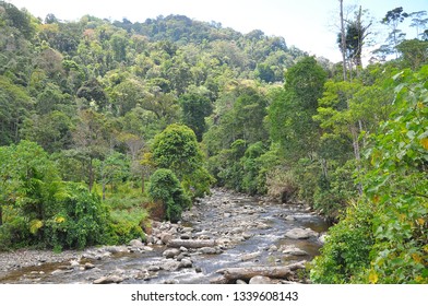 Landscape In Lore Lindu National Park, Sulawesi