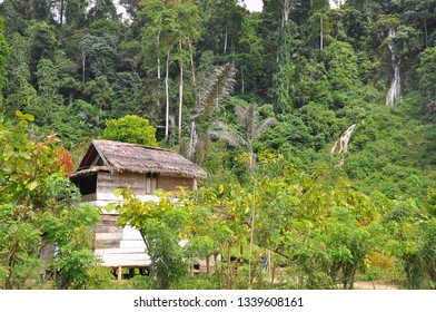 Landscape In Lore Lindu National Park, Sulawesi