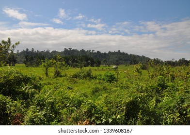 Landscape In Lore Lindu National Park, Sulawesi