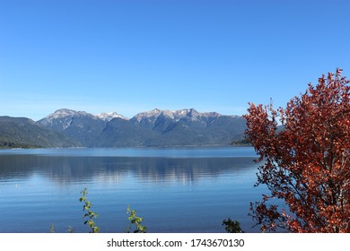 Landscape Of Los Alerces National Park