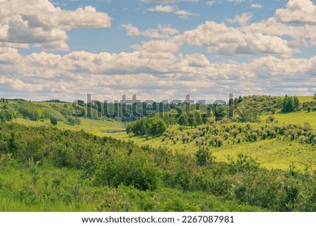 Landscape of the the lush green Alberta foothills with a blue cloudy sky, Canada