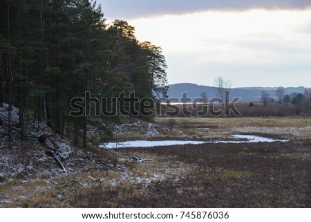 landscape meadow near the forest covered with the first snow in late autumn evening, countryside