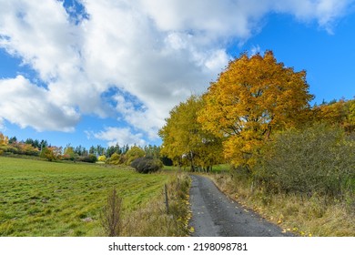 Landscape With Meadow, Path And Trees In Autumn