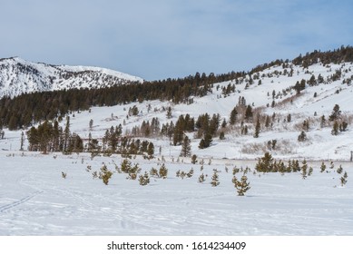 Landscape Of Meadow, Trees And Mountain Covered In Snow On The Mount Rose Highway In Nevada