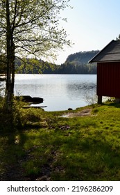 A landscape in the middle of the forest