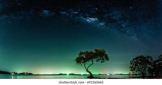 Landscape with Milky way galaxy. Night sky with stars and silhouette mangrove tree in sea. Long exposure photograph. - Powered by Shutterstock