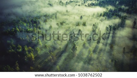 Landscape misty. Fantastic dreamy sunrise on rocky mountains with view into misty valley below. Foggy clouds above forrest. View below to fairy landscape. Foggy forest hills.