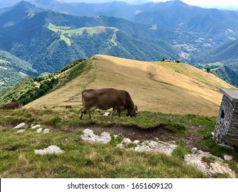 The Landscape Of Monte Generoso