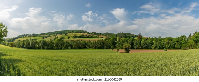 Landscape Of The Monts Du Lyonnais, In Spring, In The Rhône In Auvergne-Rhône-Alpes, France