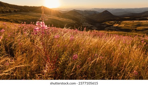 Landscape of the Monts d'Ardèche Regional Natural Park at dawn in the region of "sucs" which are ancient volcanoes - Shutterstock ID 2377105615