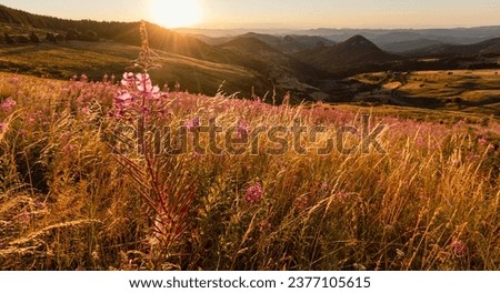 Landscape of the Monts d'Ardèche Regional Natural Park at dawn in the region of 
