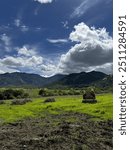 Landscape of Mount Diablo State Park entrance in Clayton, CA