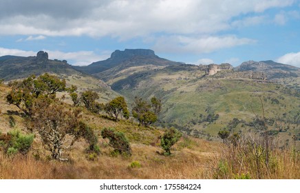 Landscape In Mount Elgon National Park, Kenya