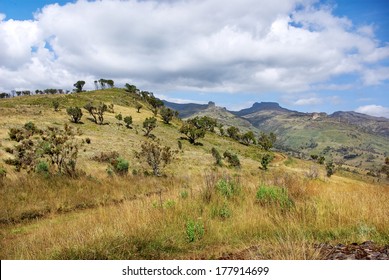 Landscape In Mount Elgon National Park, Kenya 